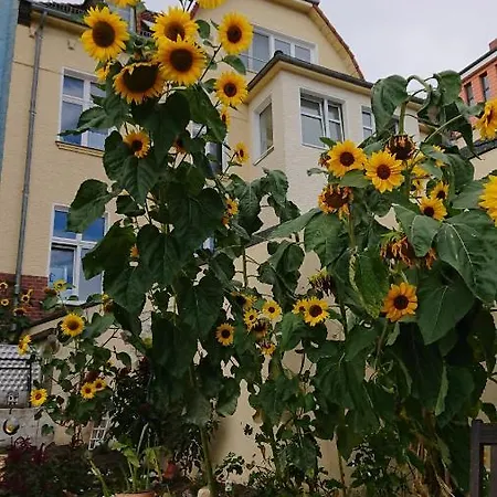 Rum i privatbostad Ferienwohnung Dahme *